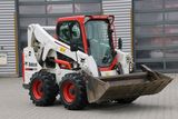 KO-bobcat-s.jpg