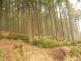 DSCN1173.JPG
