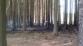  Resize of Kamennß 373.jpg