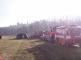 P1010317.JPG