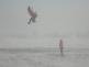 DSC01658.JPG