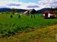 3 20130529_094220.jpg