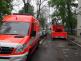 vcelylikvidaceskolaOstrava (9).JPG