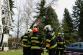 2 TP_Olomouc_Jilova_1-4-2015 odstranění stromu Olomouc (10).JPG