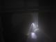 DSCN8799.jpg