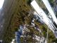 IMG_20190226_152835_1.jpg