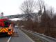 nalomeny_strom_Stara_Ves_BC_NJ_2.jpg