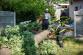 strom_potok_Bravantice_NJ_3.jpg