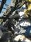 2806_tornado_pomoc (19).jpeg