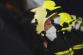 DSC03279.jpeg