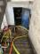 IMG_3981.JPEG