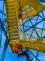 IMG_8269.JPEG