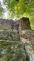 2025_06_06-Memorial_F (1).jpeg