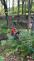2025_06_06-Memorial_F (4).jpeg