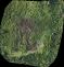 OLK_POZAR_LESA_transparent_mosaic_group1.jpg