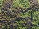 DJI_20250629180513_0047_W.JPG