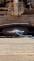 IMG_8542.JPEG