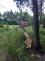 2026_06_22_TP_DC_Padly strom.jpeg