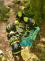 MZM 2026, foto V. Nehasil