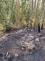 VD_2_PS_KV-2026_07_12-90579c2f.jpeg
