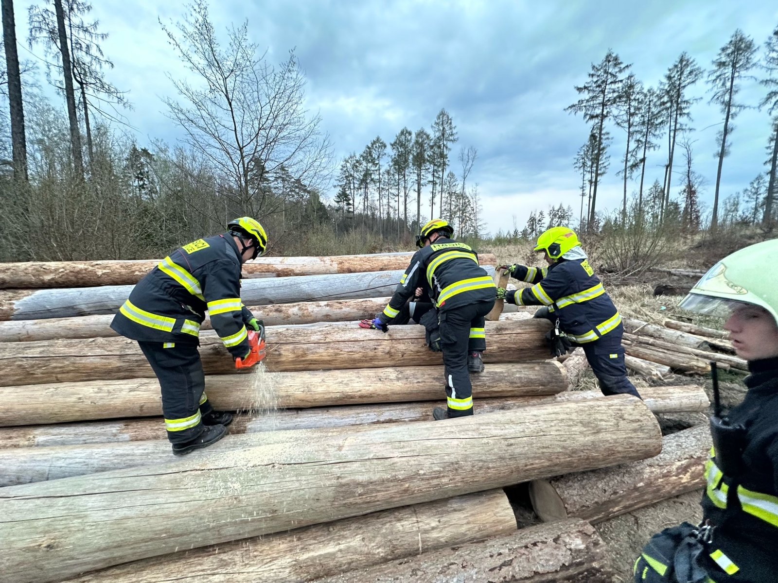 005-Vyproštění nohy z klád.jpeg