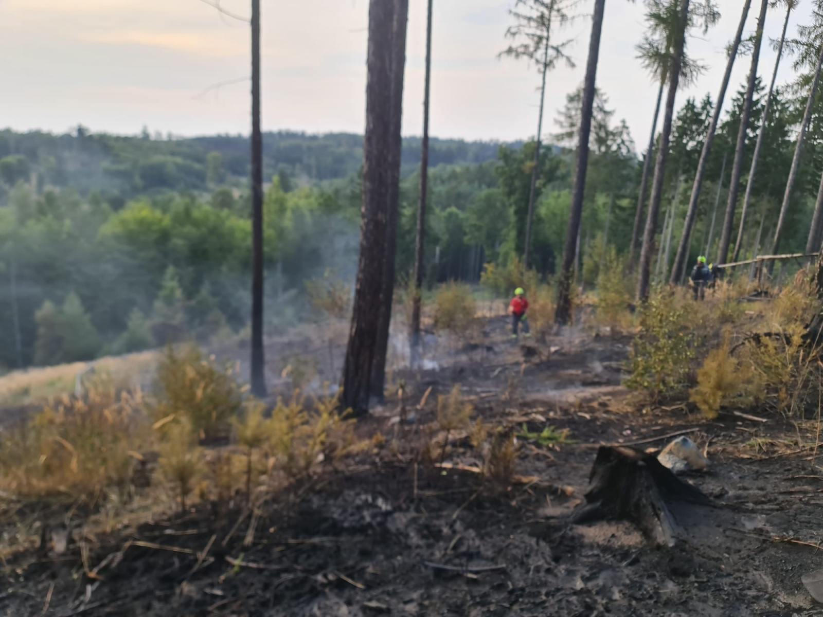 007-Rozsáhlý požár lesa u Pyšel na Benešovsku.jpeg