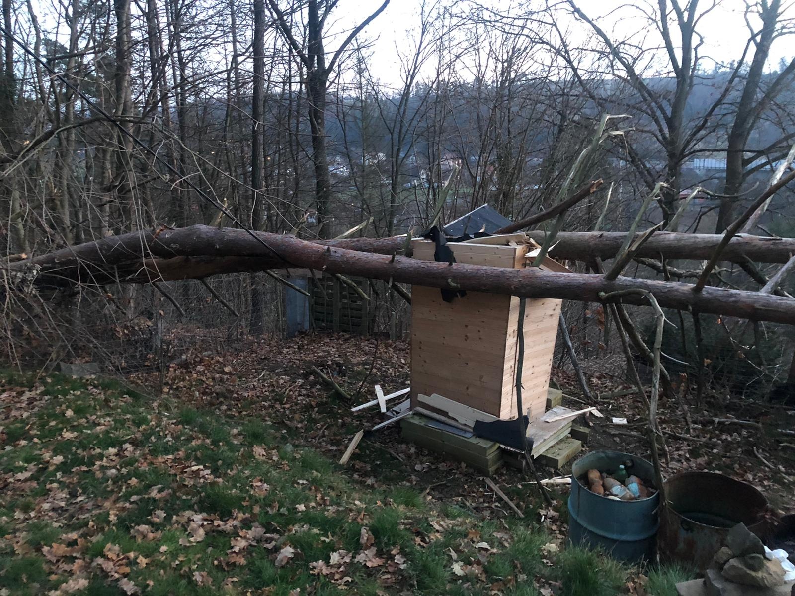 010-Strom spadlý na latrínu.jpg