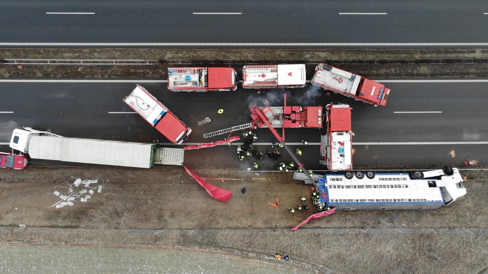 010-havarovaný nákladní automobil převážející dobytek.jpg