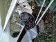 0102_nehoda_letecka_ultralight_mostkovice (3)
