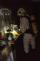015_IMZ_2023_varna