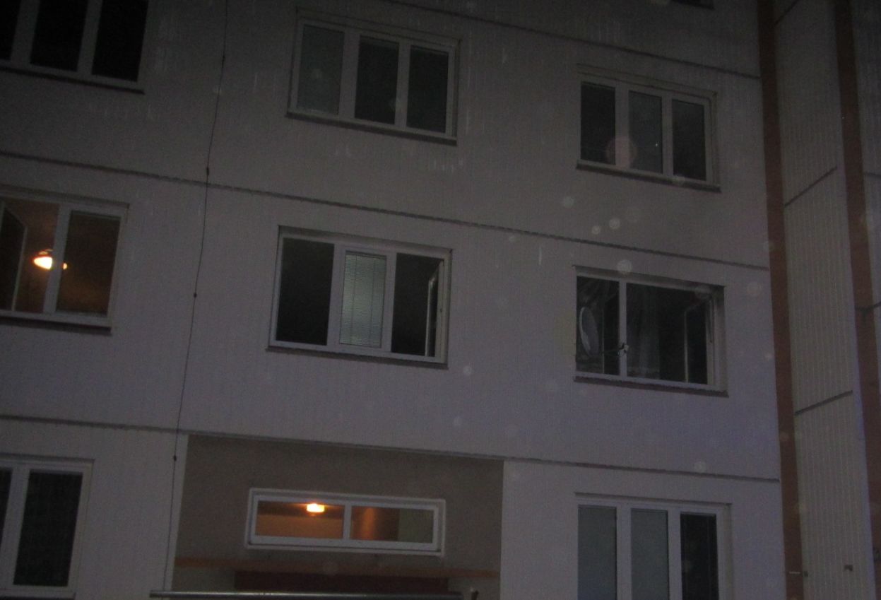 02.jpg