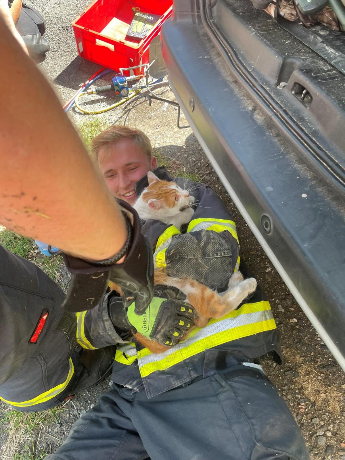 020-Uvězněný kocour za nápravou auta.jpg