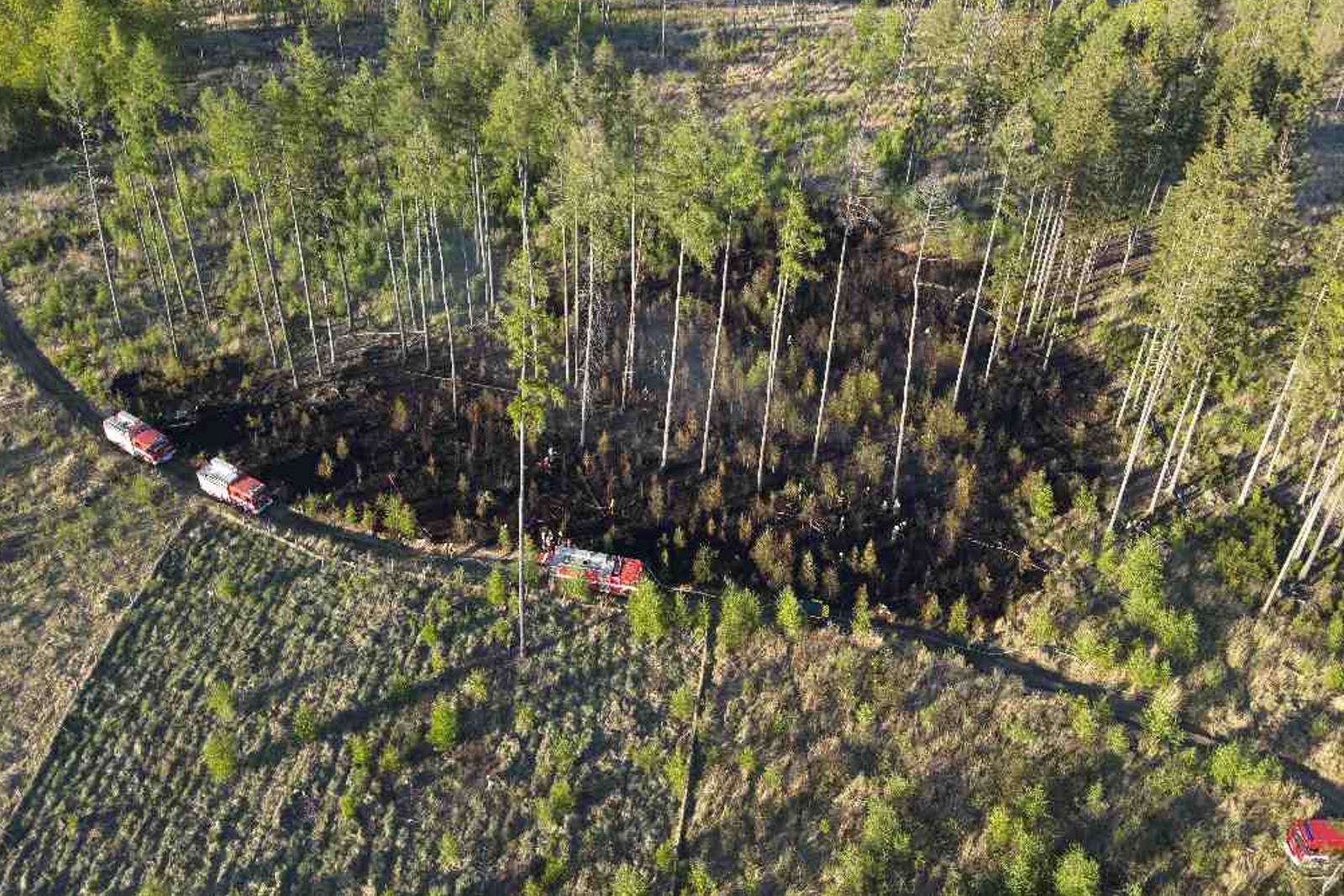 020526-Pohled z dronu na požár lesa mezi obcemi Načeradec a Horní Lhota na Benešovsku.jpg