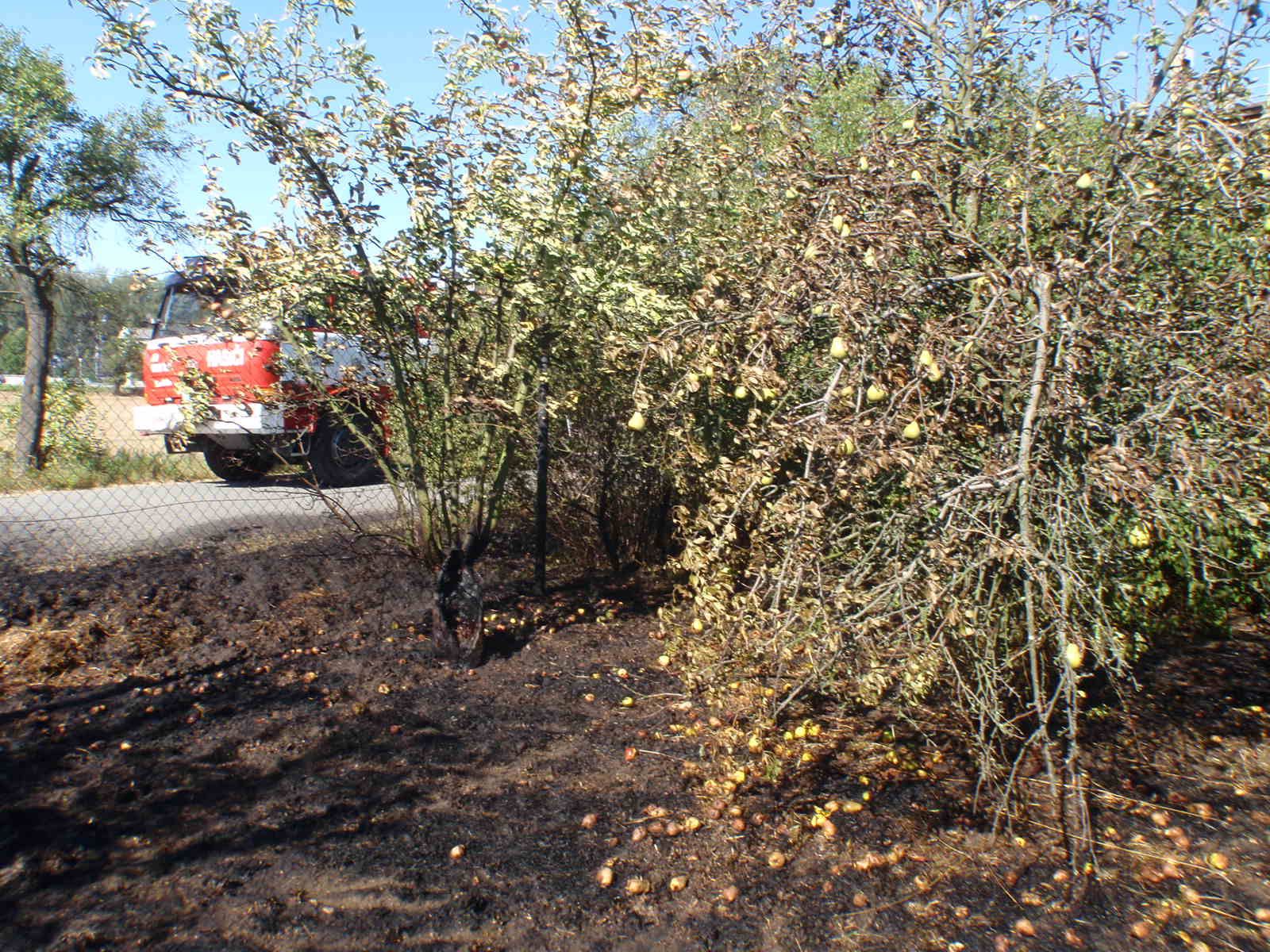 05.jpg