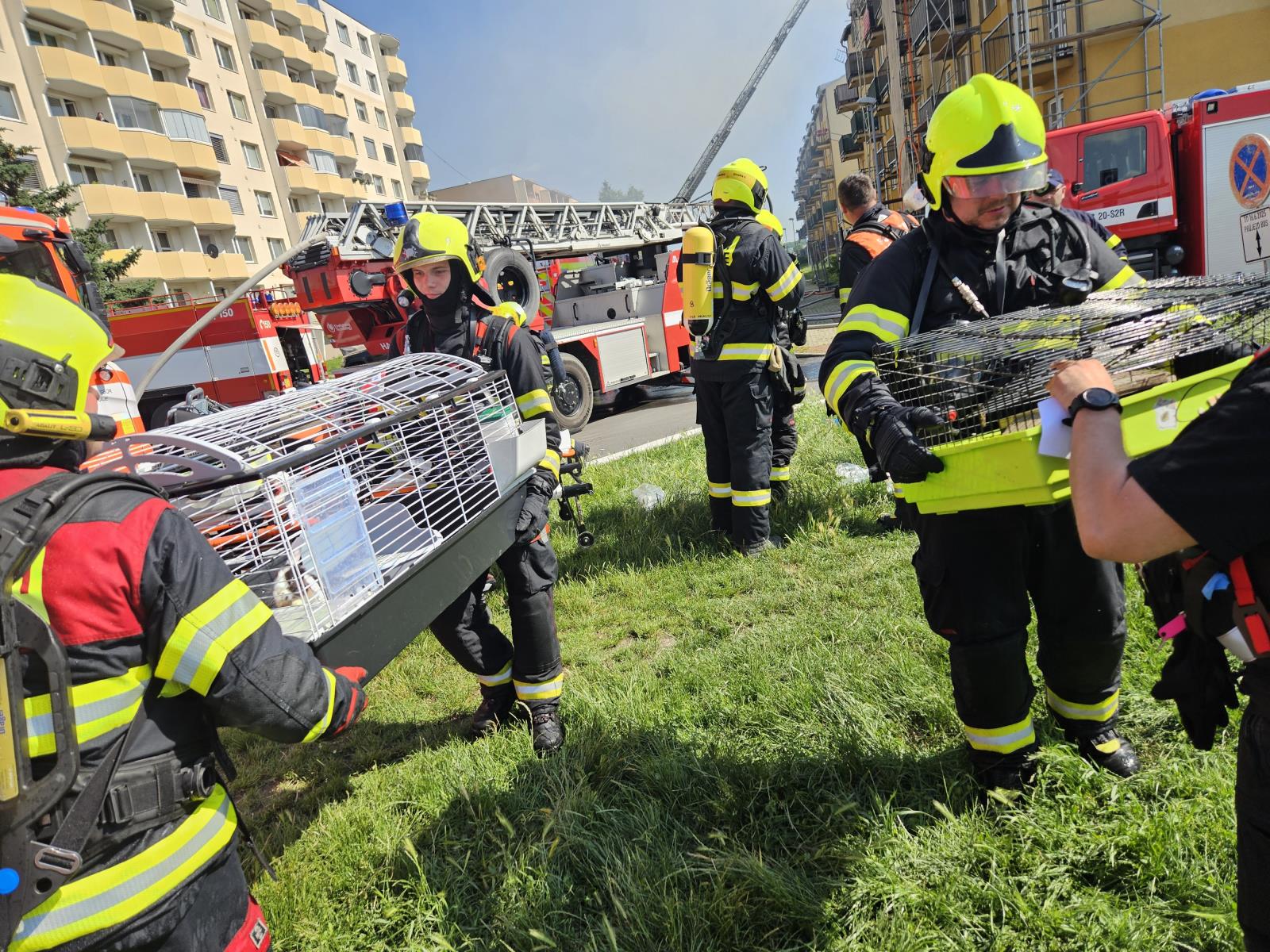 Evakuace domácích mazlíčků