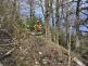 0804_pozar_les_domasov_sternberk (11)