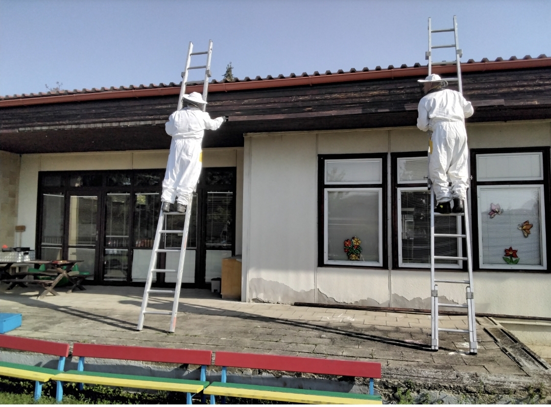 08_srpen_vyber_mesice_2 (6).jpg