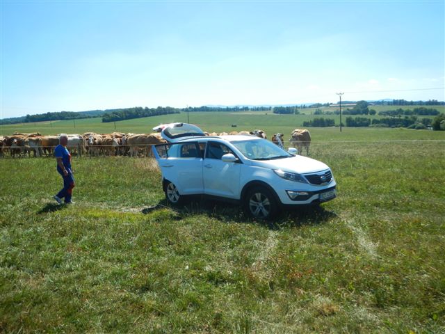 1 Dopravní nehoda, Ledenice 17. 8. 2013 (1).jpg