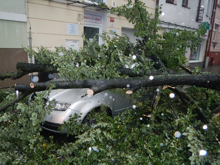 1 Pád stromu na 2 OA, České Budějovice - 21. 7. 2014 (1).jpg