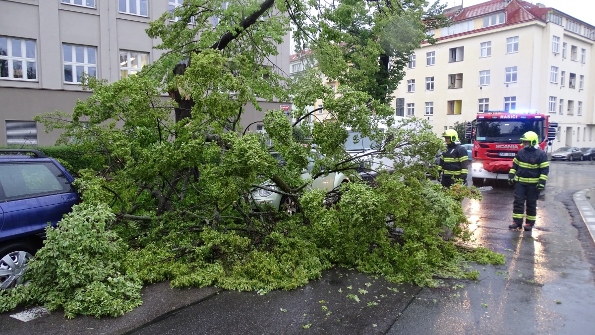 1 Polámaný strom ve vozovce