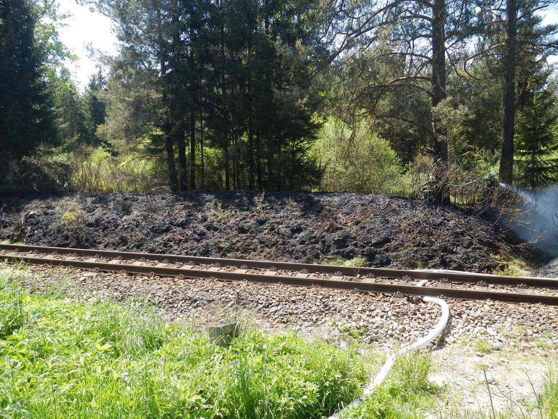 1 Požár lesa, České Velenice - 18. 5. 2015 (1).JPG