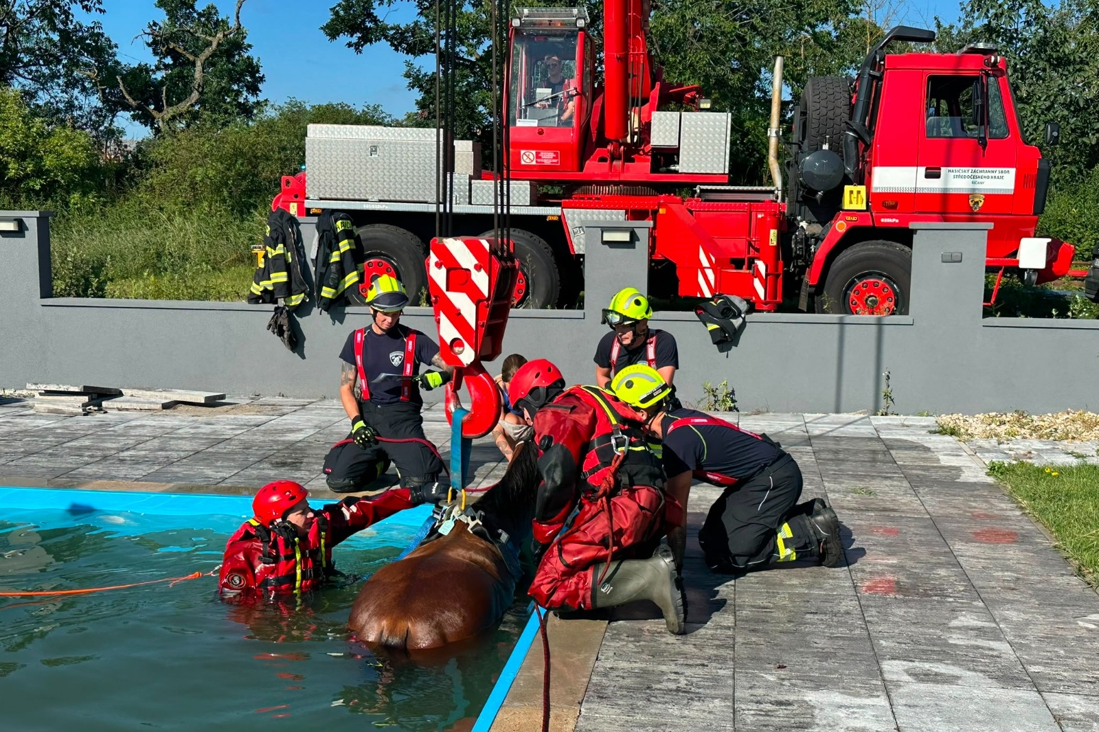 100726-Záchrana koně z bazénu v obci Doubravčice na Kolínsku.jpeg