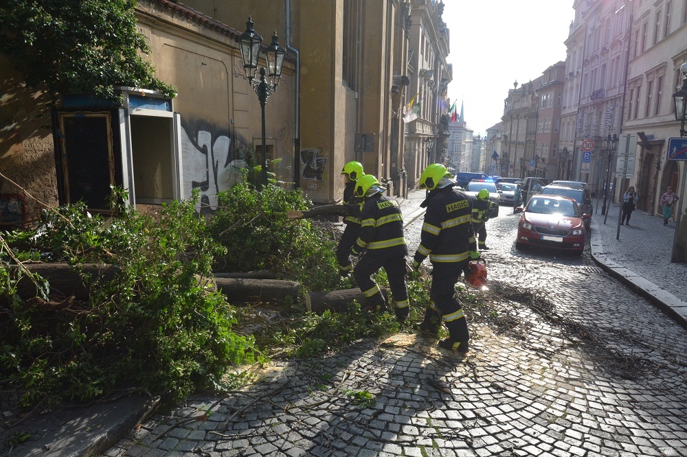 11 Spadlý strom přes cestu