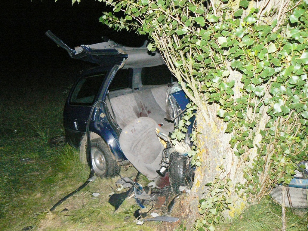 11.6.2015 DN Borovice.JPG