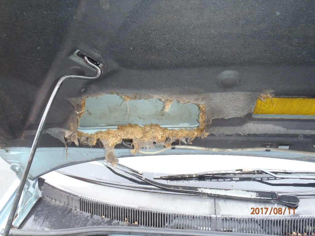 11.8.2017 (KT 10.22) požár OA Klatovy.JPG