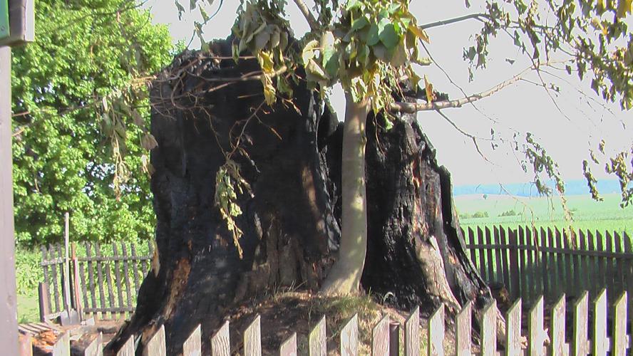 12-05-26 Libošovice (2).JPG