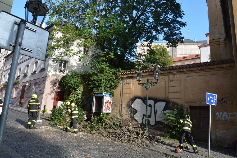 12 Spadlý strom přes cestu