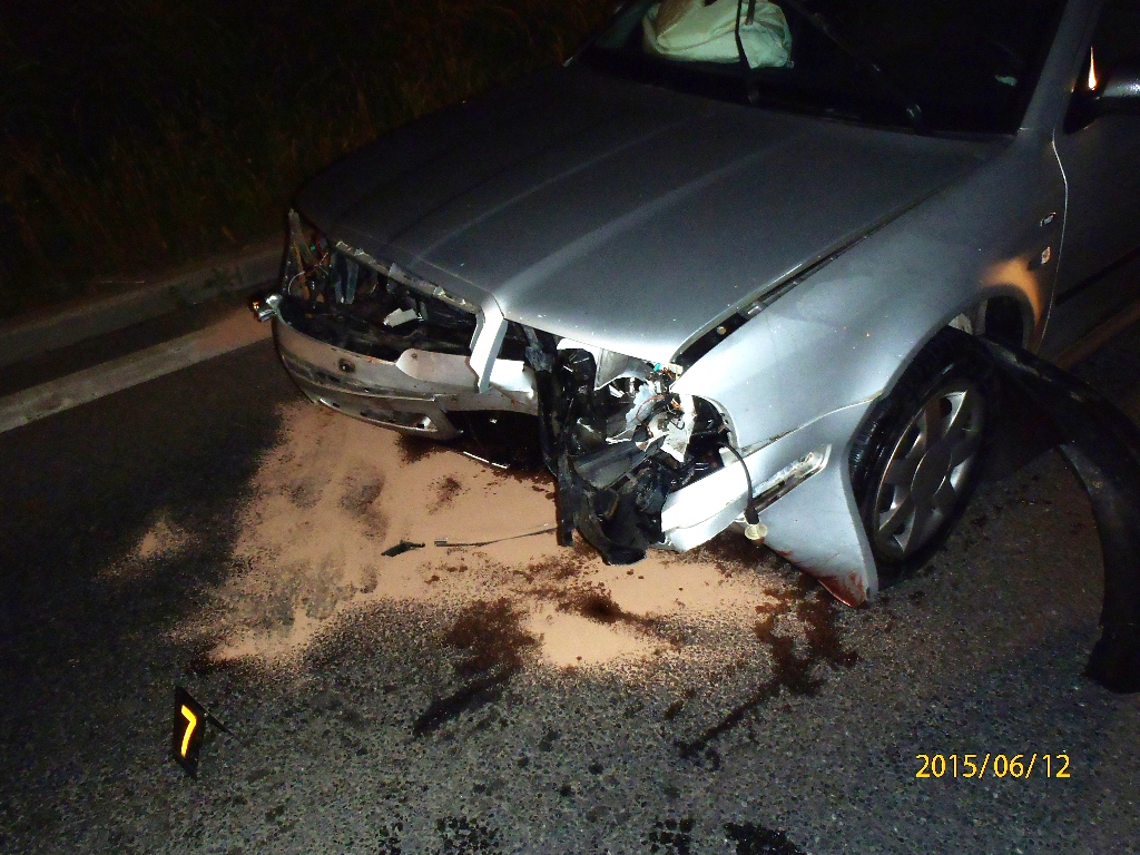 12.6.2015 DN Černice.JPG