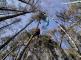 1203_zachrana_paraglide (7)