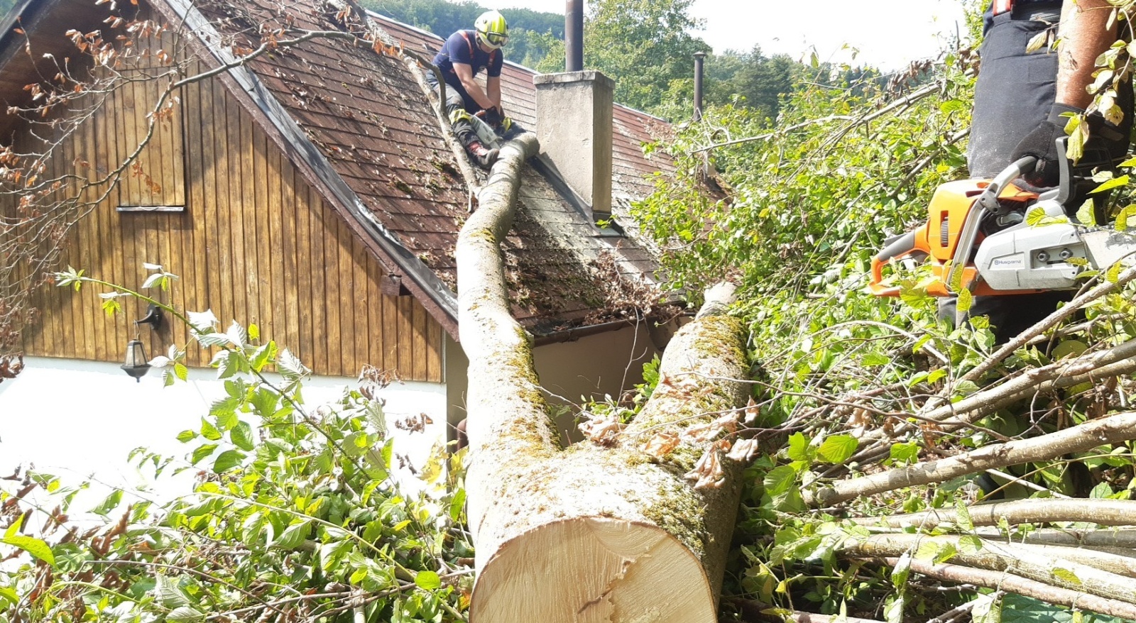 127-Odstraňování stromu v chatové oblasti Havírna poblíž Zvánovic na Říčansku.jpg